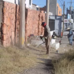 WhatsApp Image 2025-11-25 at 8.34.53 AM