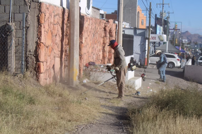 WhatsApp Image 2025-11-25 at 8.34.53 AM