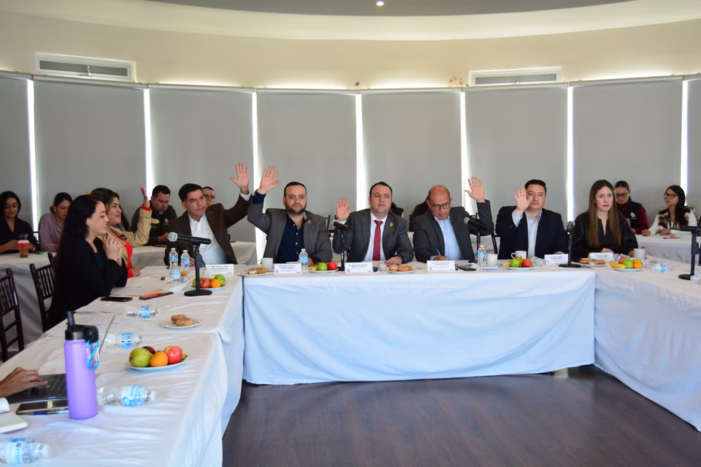 WhatsApp Image 2025-11-28 at 14.06.43