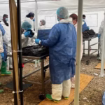 crematorio plenitud fge