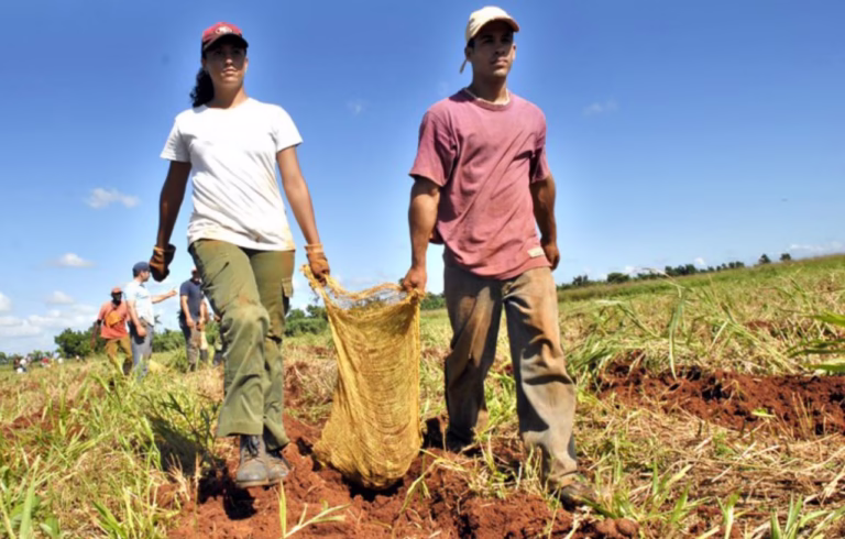 jovenes campo chihuahua rural archivo agro