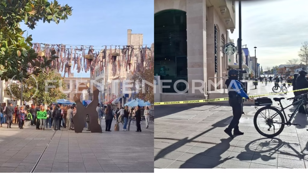 Diseño sin título - 2025-12-01T094804.939