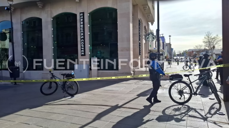 Diseño sin título - 2025-12-01T094826.068