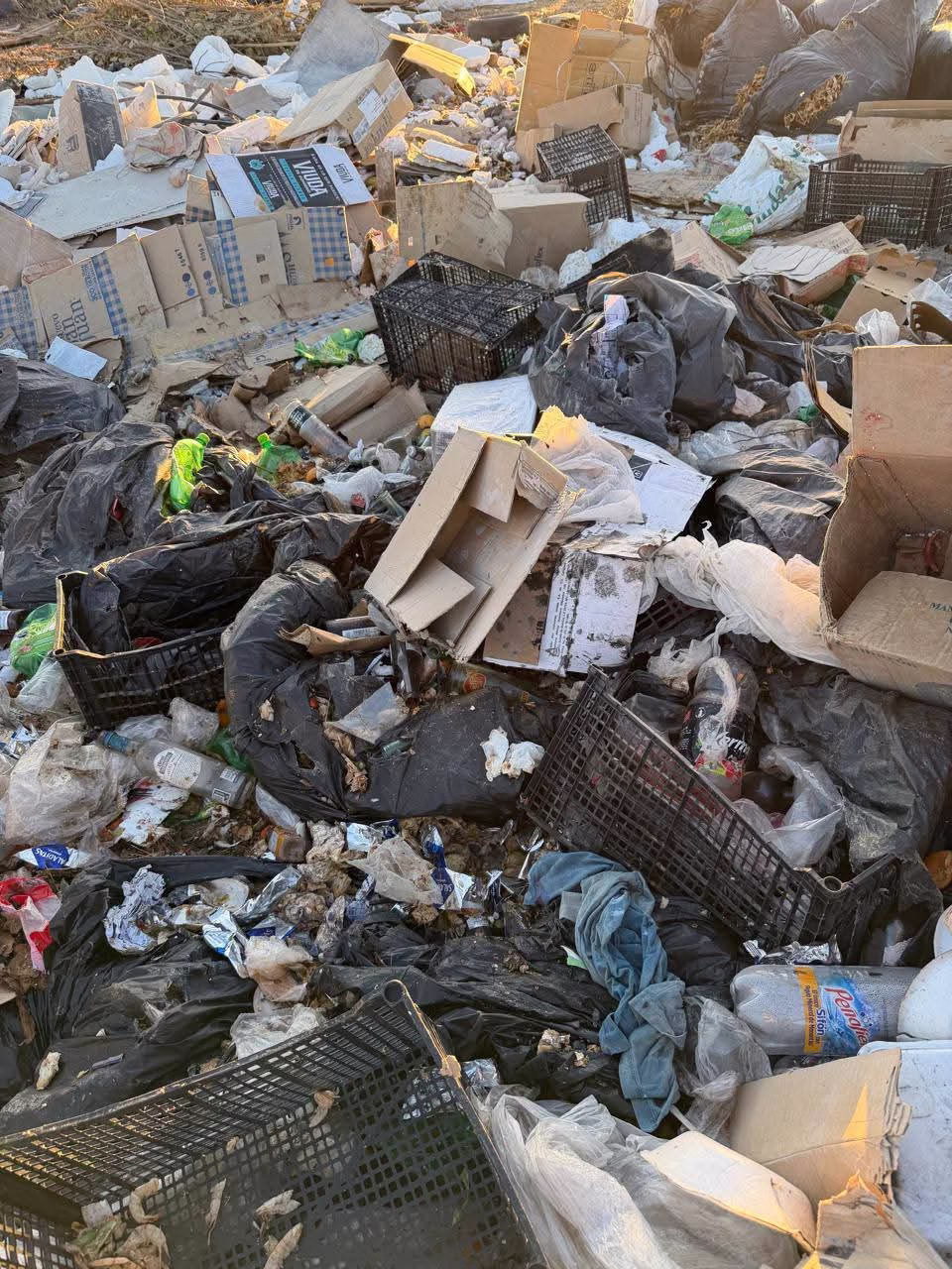 FB_IMG_1766378231943