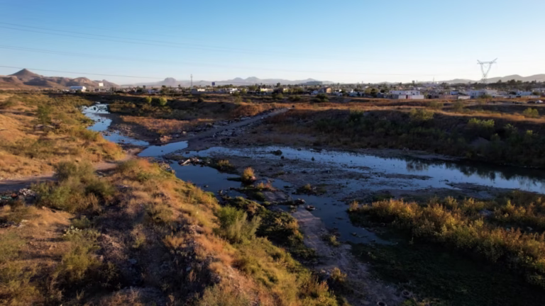 WhatsApp-Image-2025-11-24-at-11.21.18-AM-1024x576