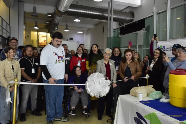 WhatsApp Image 2025-12-01 at 11.51.13