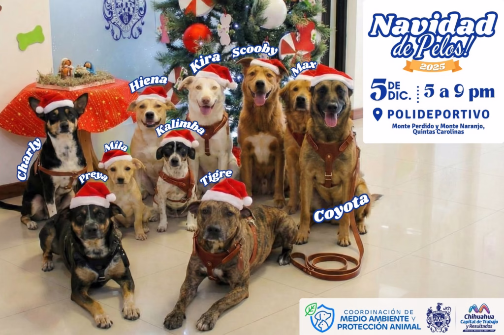 WhatsApp Image 2025-12-03 at 1.06.05 PM