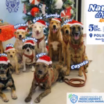 WhatsApp Image 2025-12-03 at 1.06.05 PM