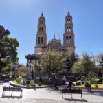 WhatsApp Image 2025-12-03 at 10.26.04 AM