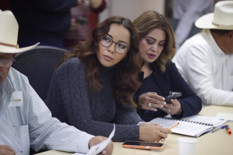 WhatsApp Image 2025-12-03 at 11.30.18