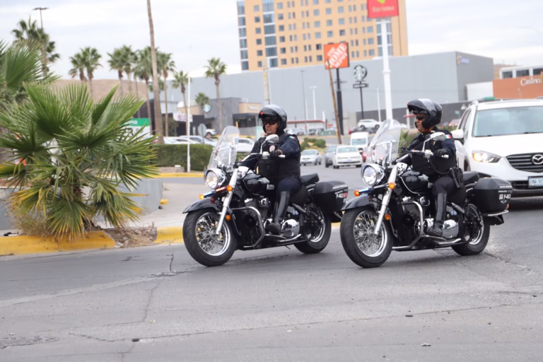 WhatsApp Image 2025-12-04 at 11.17.57 AM (1)