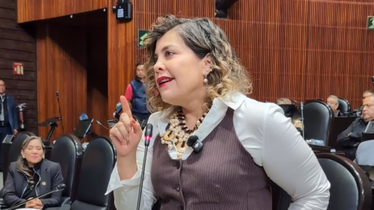 WhatsApp Image 2025-12-04 at 11.47.48