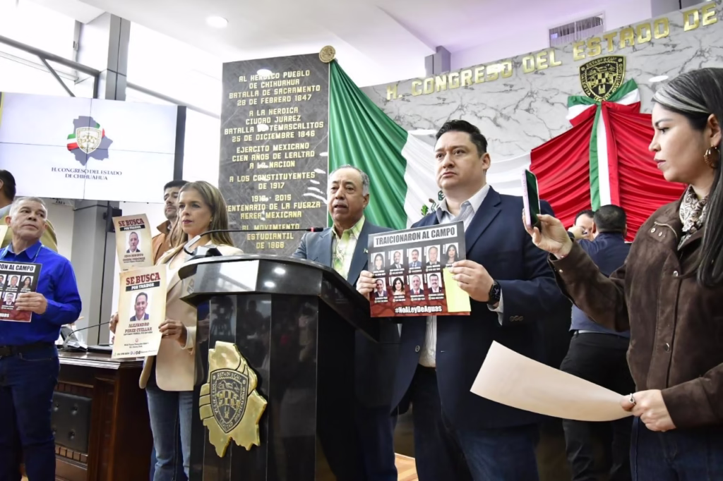 WhatsApp Image 2025-12-04 at 14.49.22