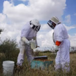 WhatsApp Image 2025-12-05 at 11.53.10 AM