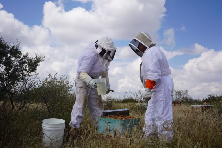 WhatsApp Image 2025-12-05 at 11.53.10 AM