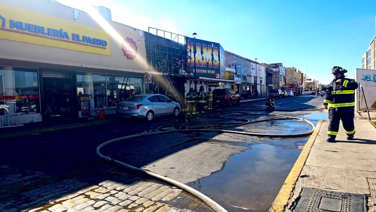 WhatsApp Image 2025-12-09 at 11.58.02 AM (1)