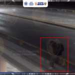 WhatsApp Image 2025-12-11 at 1.15.24 PM