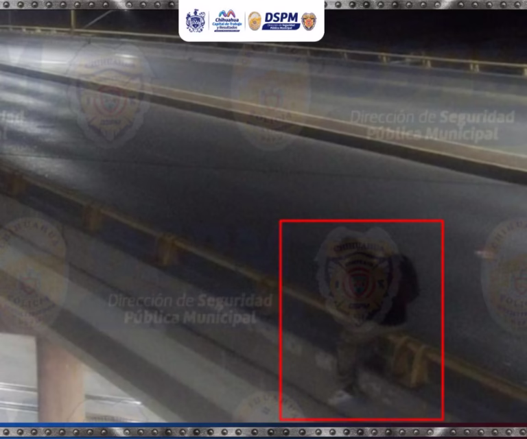 WhatsApp Image 2025-12-11 at 1.15.24 PM