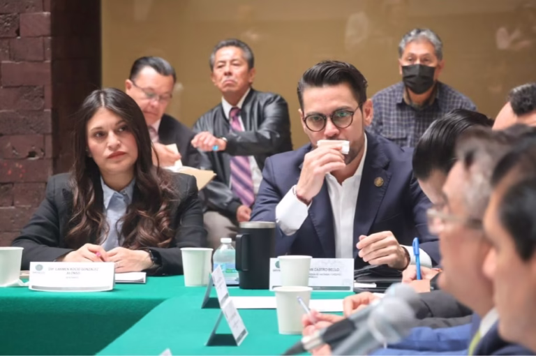 WhatsApp Image 2025-12-11 at 11.49.15