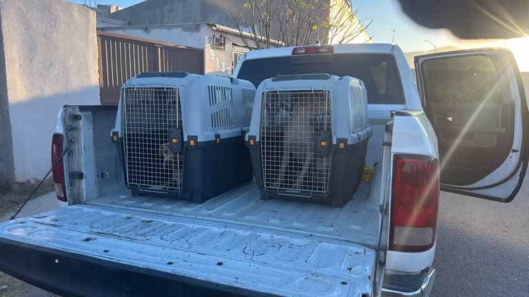 WhatsApp Image 2025-12-12 at 1.07.44 PM