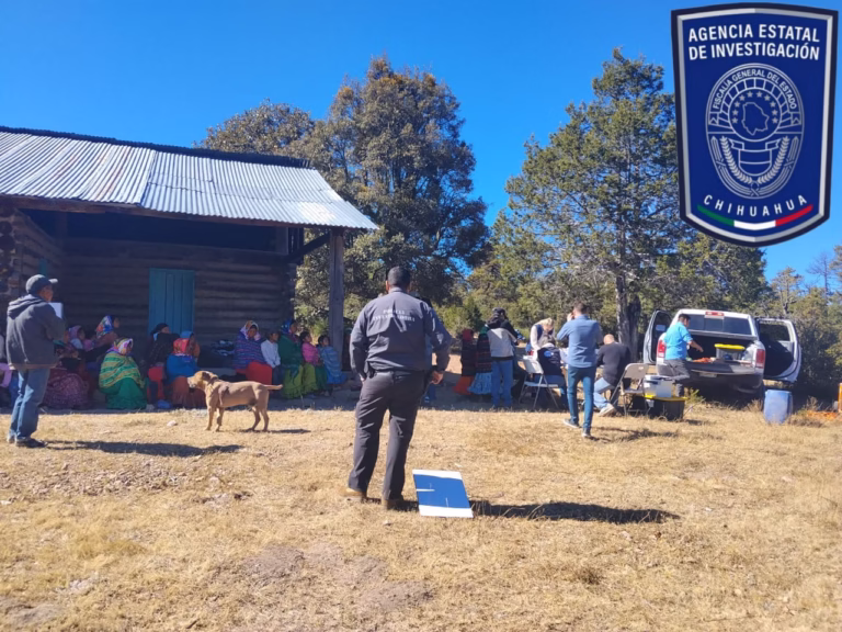 WhatsApp Image 2025-12-12 at 10.50.01 AM