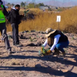 WhatsApp Image 2025-12-12 at 11.58.00 AM (1)