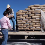 WhatsApp Image 2025-12-15 at 10.18.44