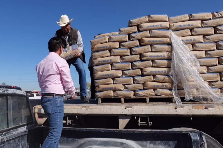 WhatsApp Image 2025-12-15 at 10.18.44