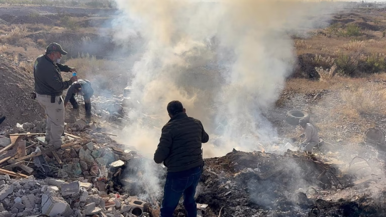 WhatsApp Image 2025-12-15 at 12.50.21 PM (1)