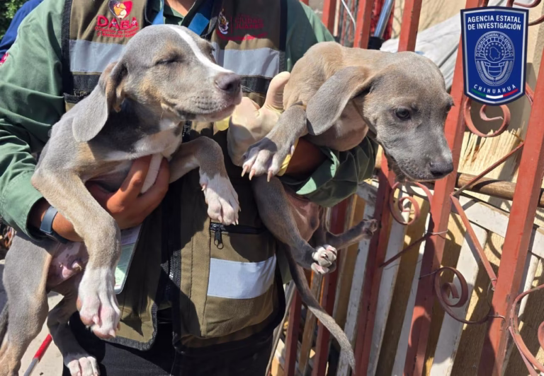 WhatsApp Image 2025-12-15 at 5.20.29 PM