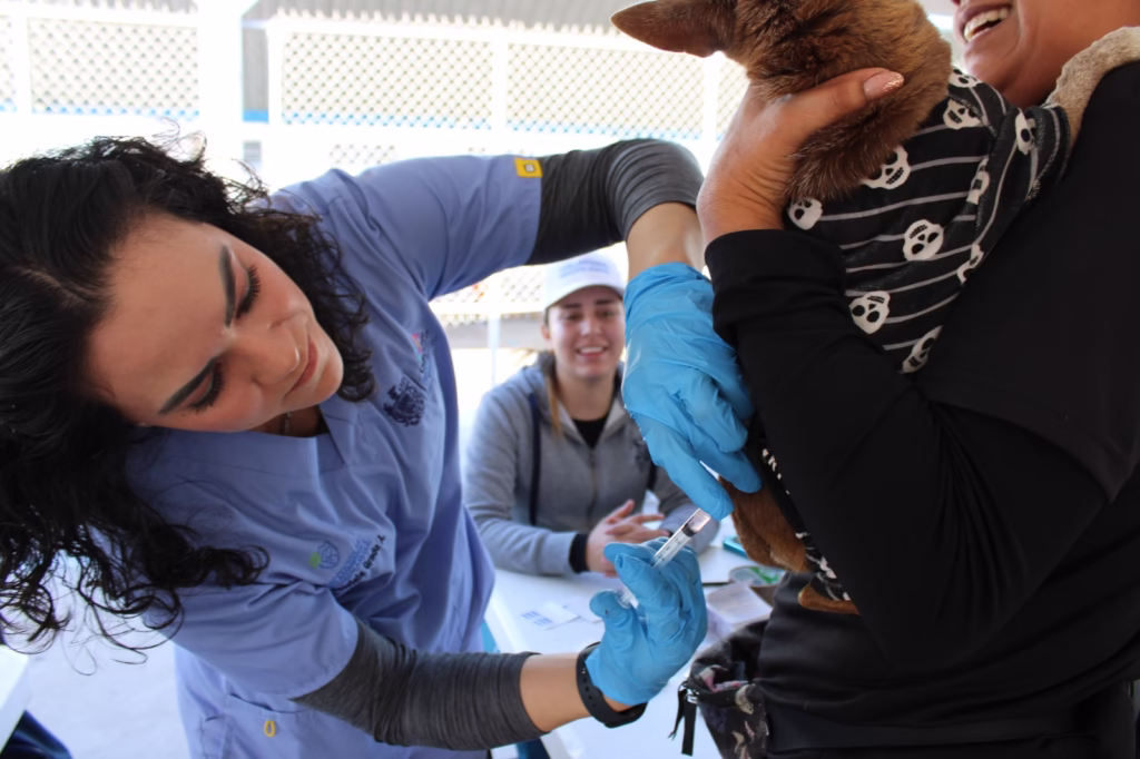 WhatsApp Image 2025-12-19 at 12.42.27 PM