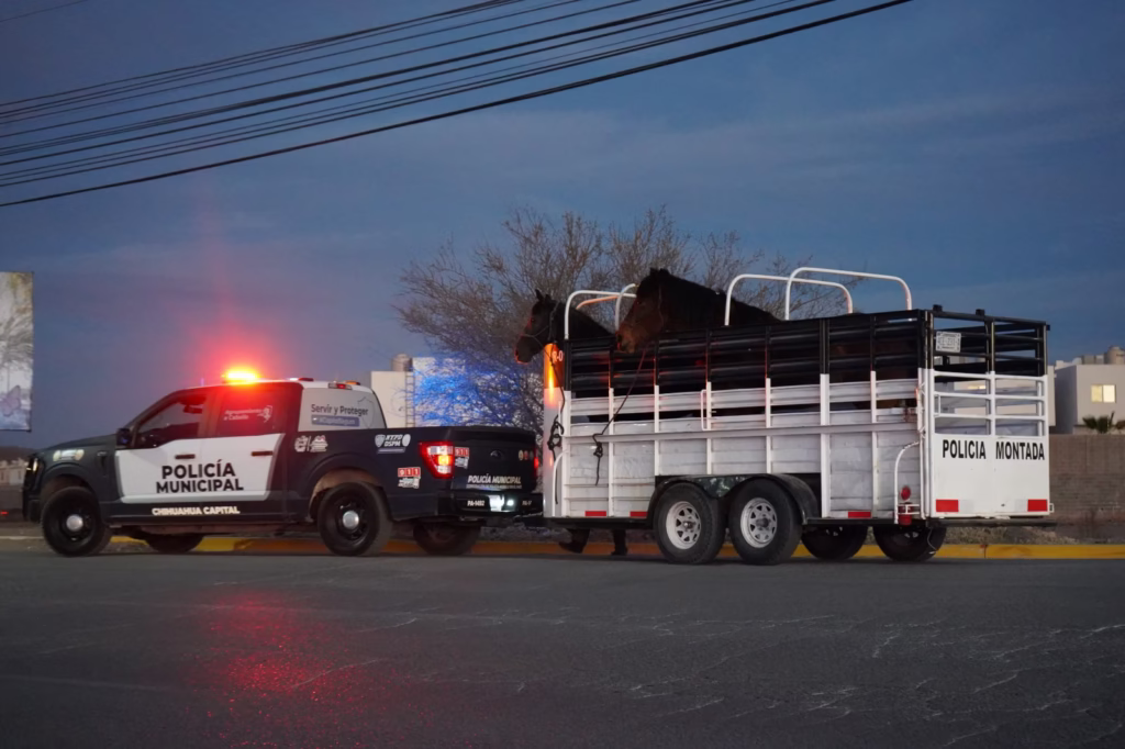 WhatsApp Image 2025-12-23 at 1.34.03 PM (1)