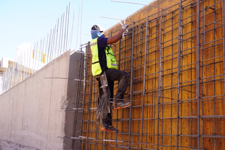 WhatsApp Image 2025-12-23 at 12.55.57 PM