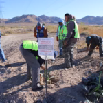 WhatsApp Image 2025-12-29 at 1.45.21 PM (1)