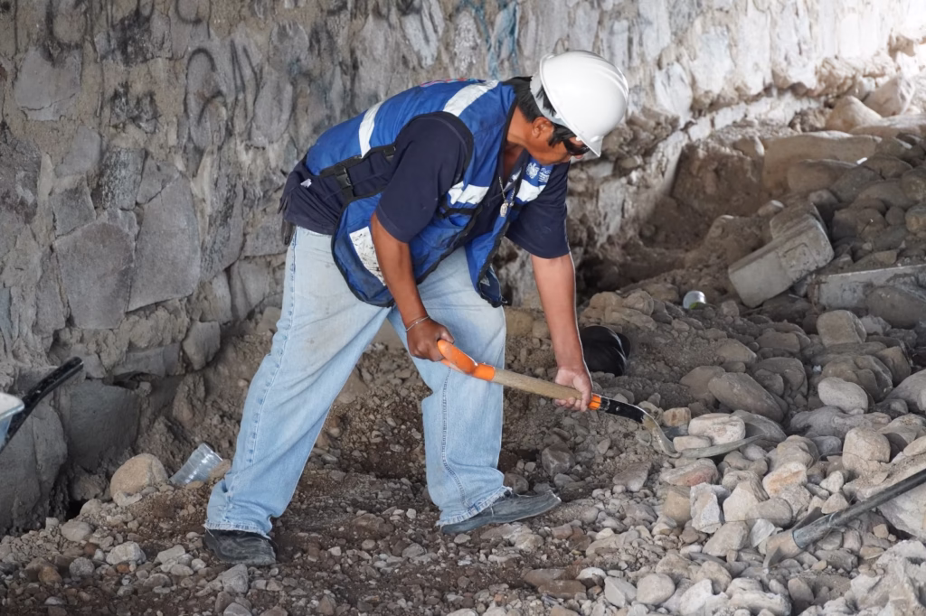 WhatsApp Image 2025-12-29 at 12.17.44 PM (1)