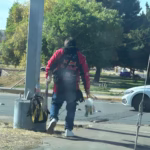 WhatsApp Image 2025-12-29 at 9.48.43 AM