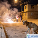 WhatsApp Image 2025-12-30 at 12.38.36 PM