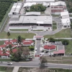 260120 AGRICULTURA SENASICA 50 % AVANCE PLANTA GBG-6