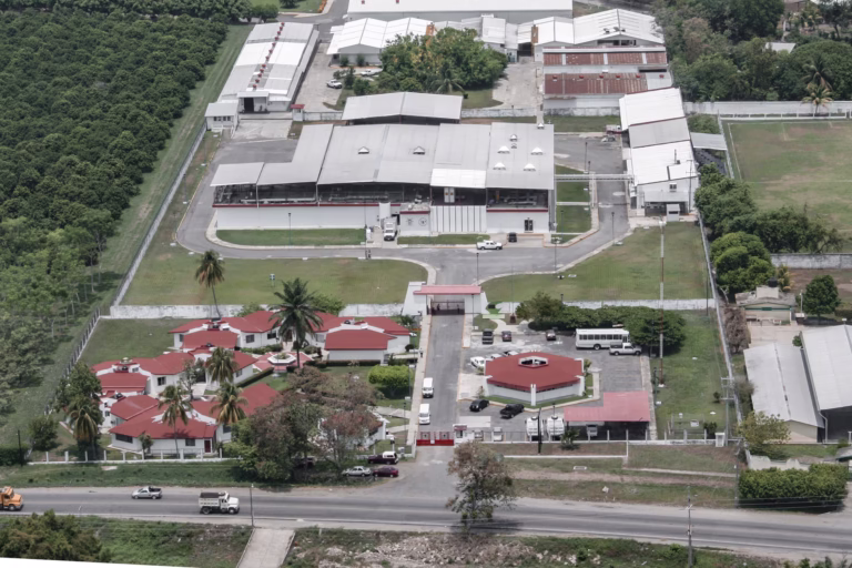 260120 AGRICULTURA SENASICA 50 % AVANCE PLANTA GBG-6