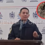 Diseño sin título (5)