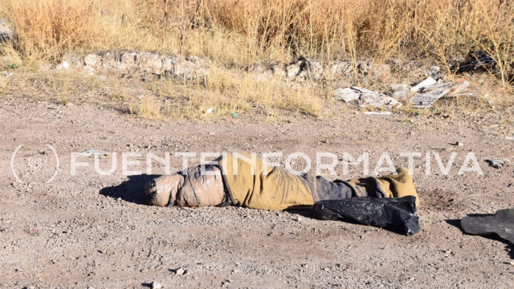 Diseño sin título_20260103_103142_0000