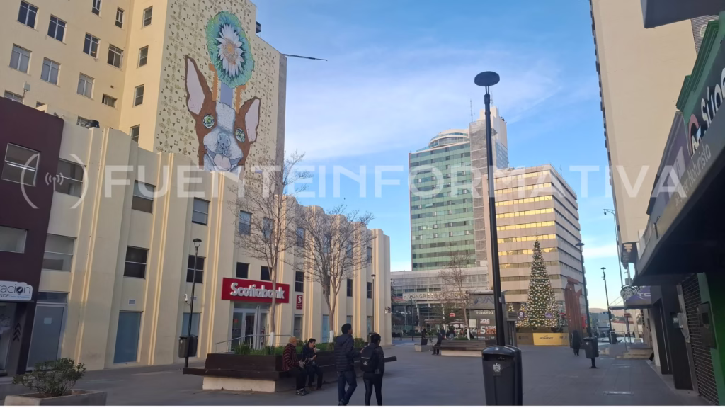 Diseño sin título_20260108_084659_0000