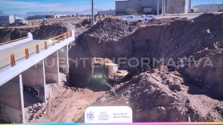 Diseño sin título_20260119_102704_0000