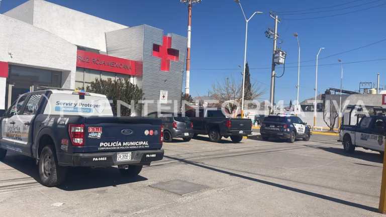 Diseño sin título_20260131_151619_0000