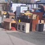 PHOTO-2026-01-08-12-18-57