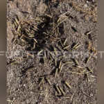 PHOTO-2026-01-27-10-58-35