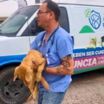 WhatsApp Image 2026-01-08 at 1.39.30 PM