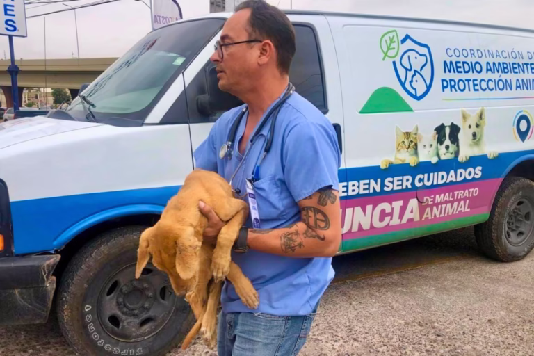 WhatsApp Image 2026-01-08 at 1.39.30 PM