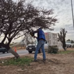 WhatsApp Image 2026-01-08 at 10.56.56 AM