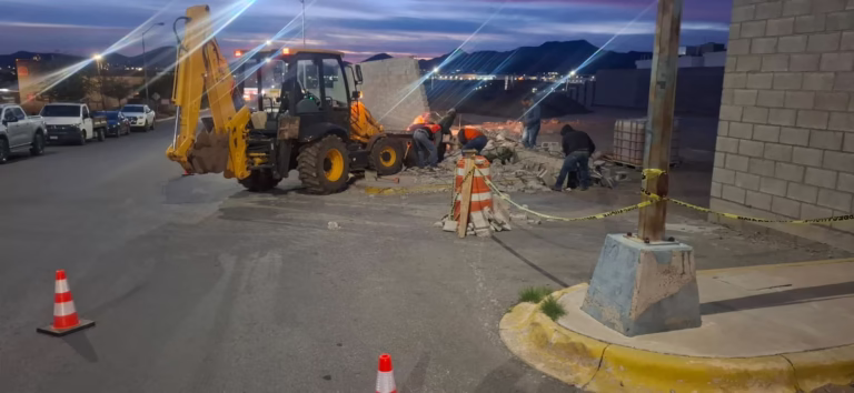 WhatsApp Image 2026-01-08 at 9.43.28 AM (1)